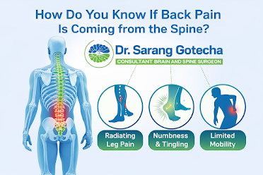 How Do You Know If Back Pain Is Coming from the Spine
